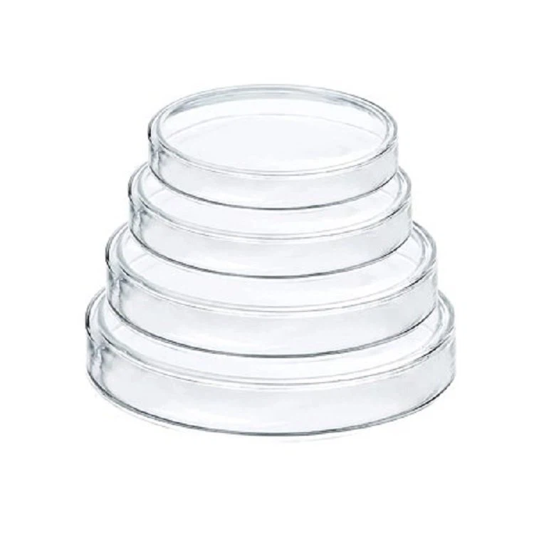Glass Culture Dish